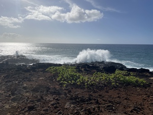 1A459F42 B90F 4192 B3C3 8E97F103E4BD