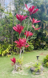 3A80B9FA BF22 464F 8BCE A3EED7599CC9