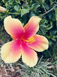 4E876D4E 8694 4A9D 987A ACCFED873125