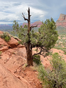 974DDBCB 5C46 4F09 A97D 708850E2A878