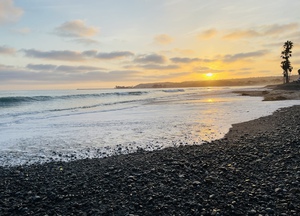 9A8D21FC 0C89 4268 9331 8B70AABA1A54