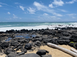 A3E6AD73 873E 43FD B745 61083C7C9597