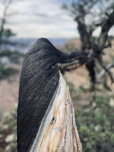 ABAE76B0 93B9 4917 B8EA AC8B10D68E48