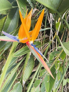 B2926C0F 092A 4876 80B2 4CAA114F2F5E