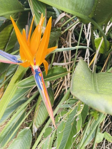 C3770C58 AA55 438D 94EE 2511322E17A0