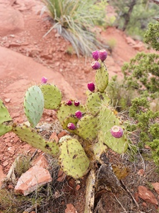 C6B0D464 2A26 4979 B701 63844A39D58D