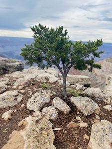 CA339D95 39D7 44DA 8539 B54F7B53E2D5