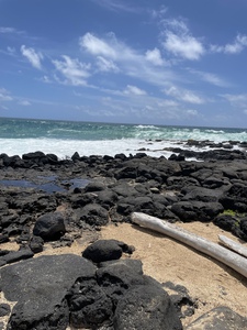 E71F184D 4768 4467 A8C7 90E9757AC878