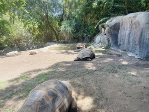 FA46DB7A B742 4A29 9D19 6FDCE1E7565A