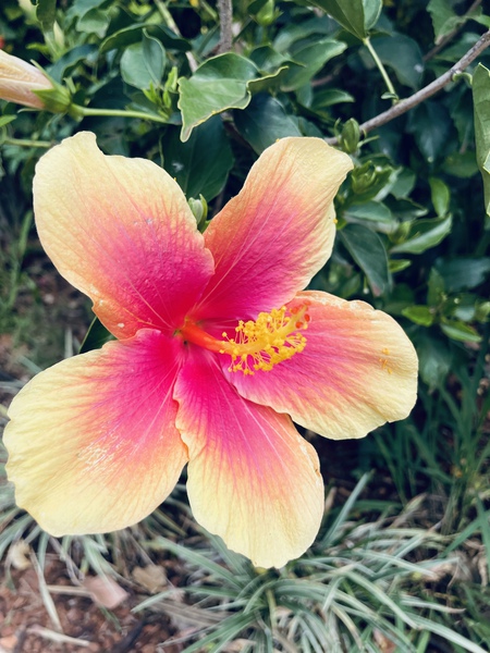 4E876D4E 8694 4A9D 987A ACCFED873125 Print