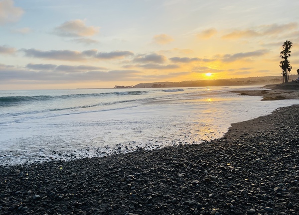 9A8D21FC 0C89 4268 9331 8B70AABA1A54 Print