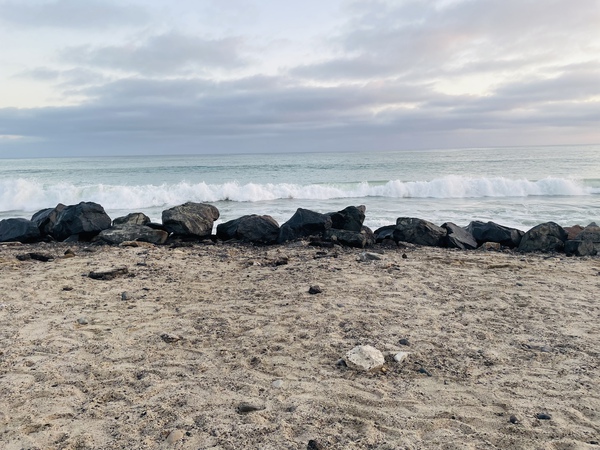 B3D23C1B 7877 42C8 8DC9 EAEDF3C25585 Print