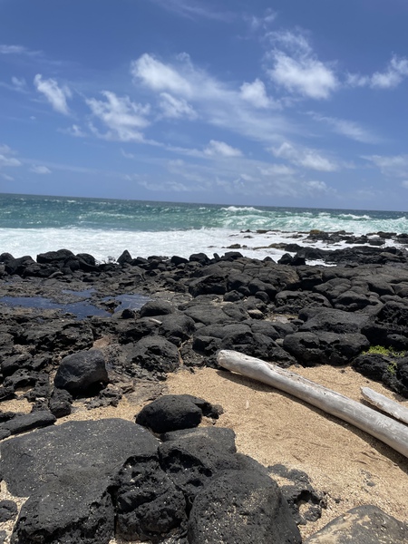 E71F184D 4768 4467 A8C7 90E9757AC878 Print