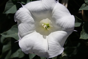 Macro 2