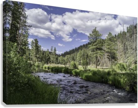 Black River Canvas Print