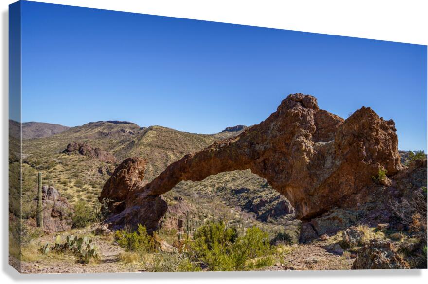 Elephant Arch  Canvas Print