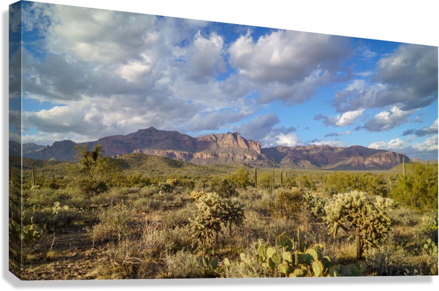 Superstition Mountains Canvas Print