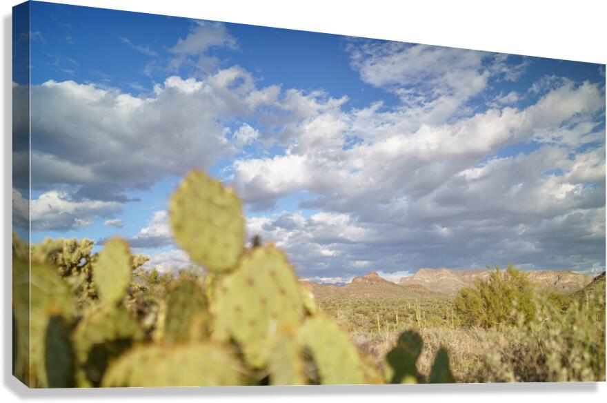 Superstition Mountains Canvas Print