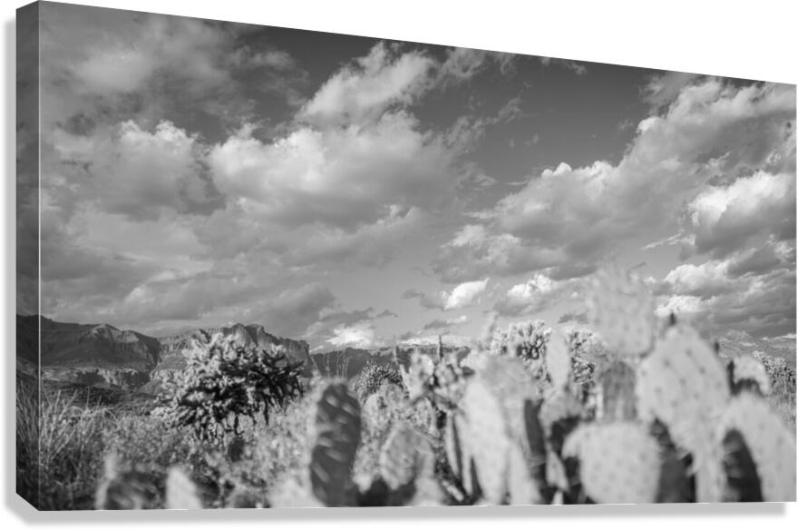 Superstition Mountains Canvas Print