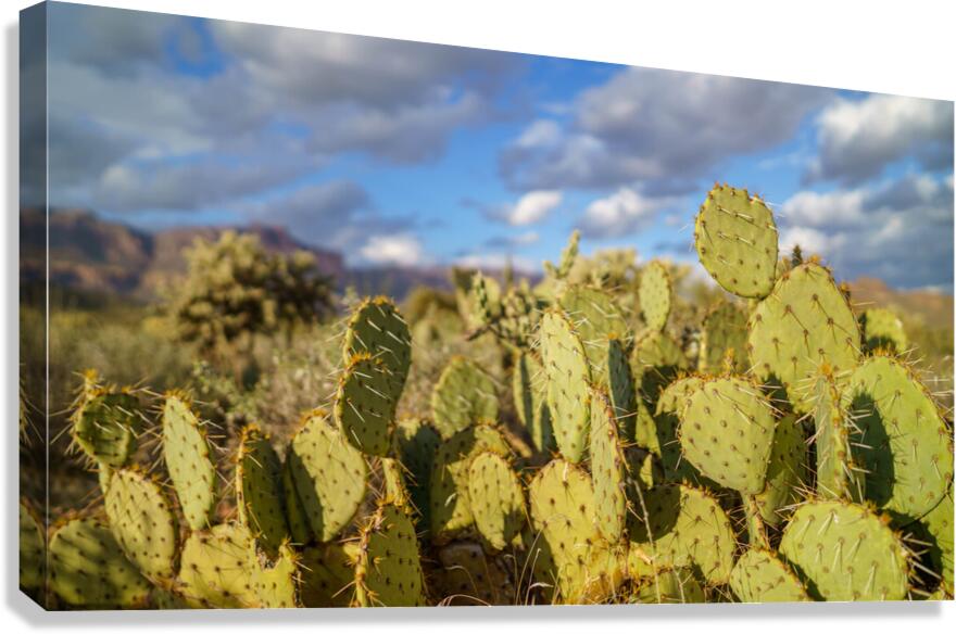 Superstition Mountains Canvas Print