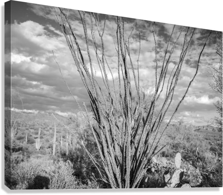 Superstition Mountains Canvas Print