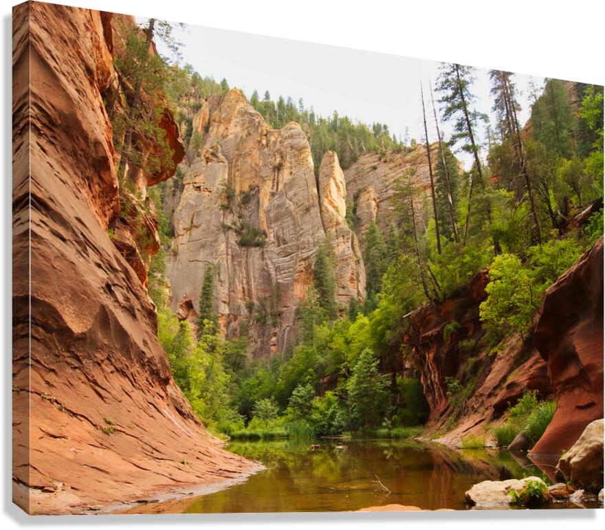 West Fork  Canvas Print