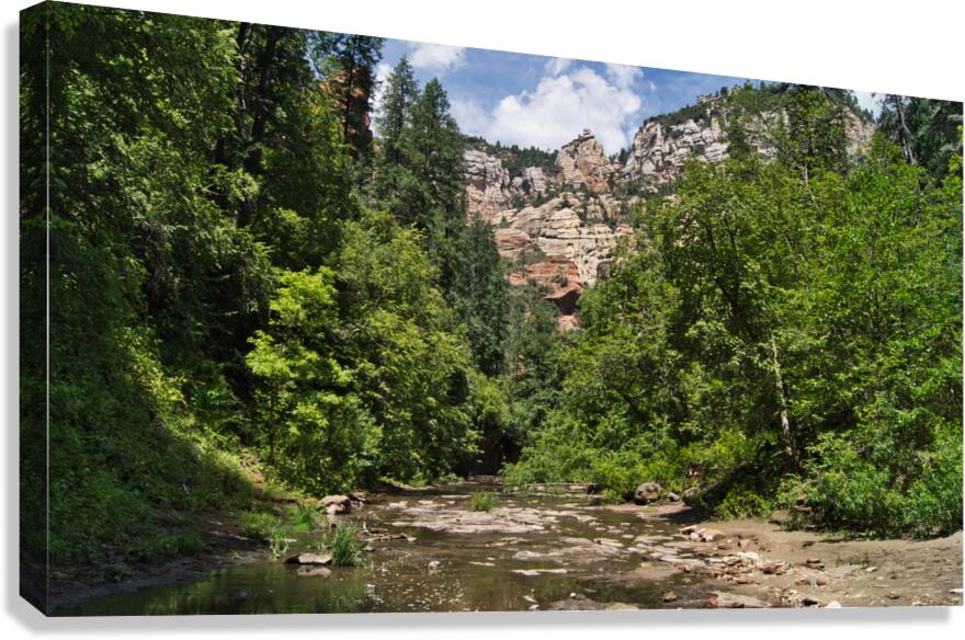 West Fork 4 Canvas Print