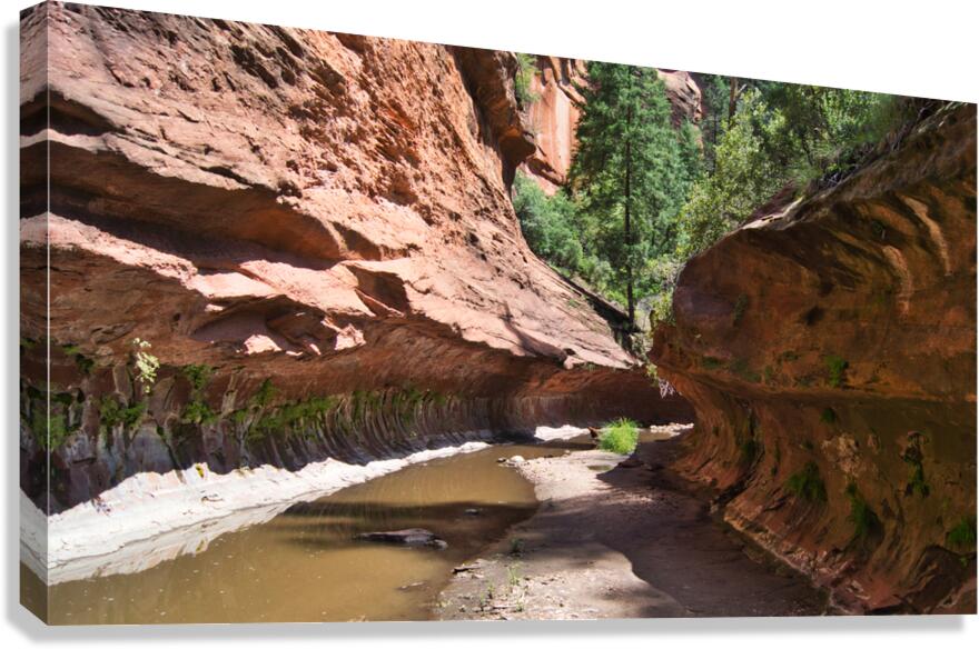West Fork 5 Canvas Print