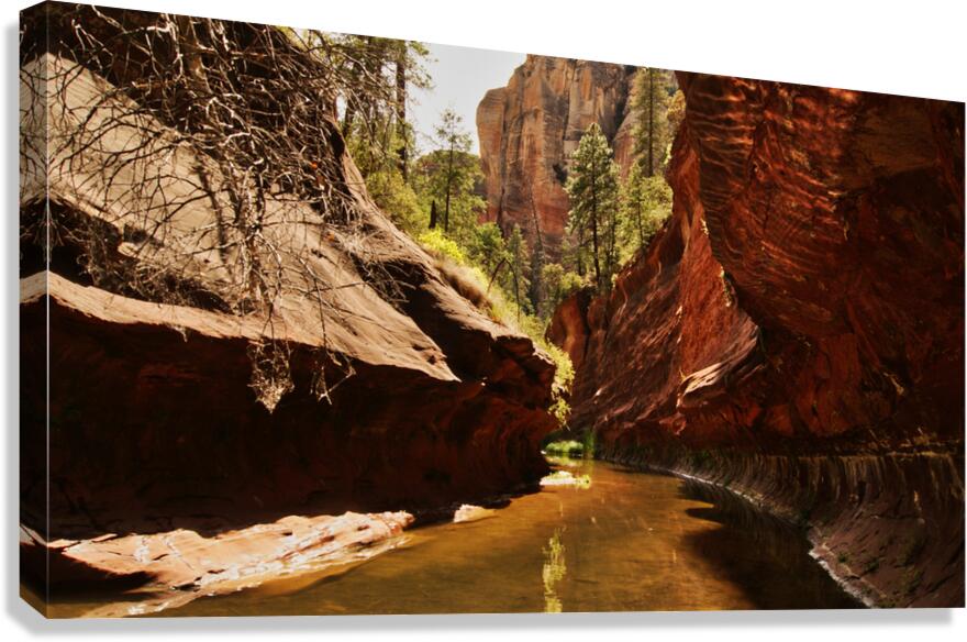 West Fork 2 Canvas Print