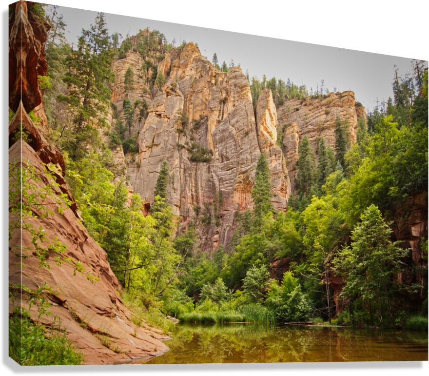 West Fork 3 Canvas Print