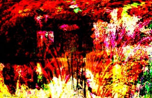 A Colorful Scene 