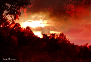 Red  Sky .