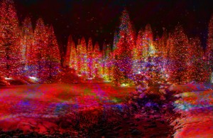 Sparkling Trees