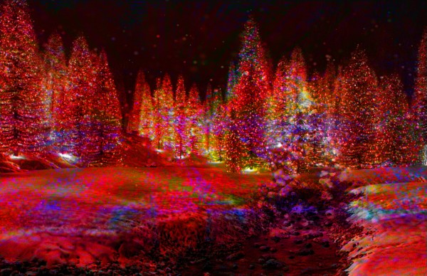 Sparkling Trees Print