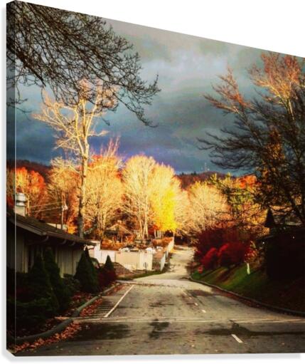 So real  Canvas Print