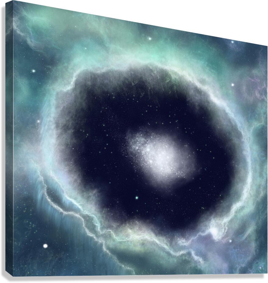 Revele Canvas Print