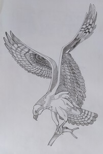 eagle