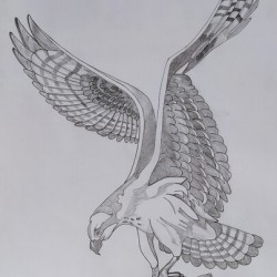 eagle
