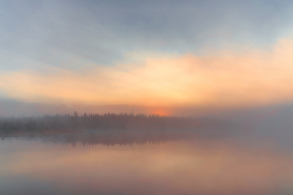 Color of nature Print