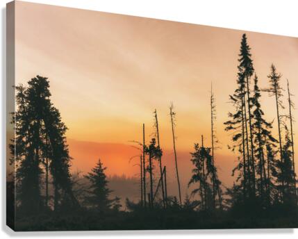 Nature sauvage Canvas Print