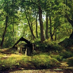 Ivan Shishkin 