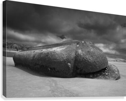 LEVIATHAN 2 Canvas Print