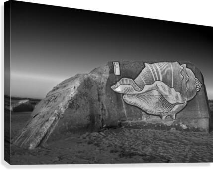 SLEEPING DOG Canvas Print