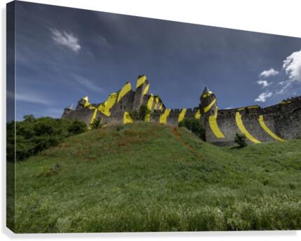 Anamorphosis Canvas Print