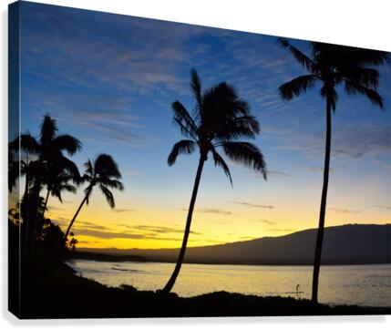 Sunrise Stand Up Canvas Print