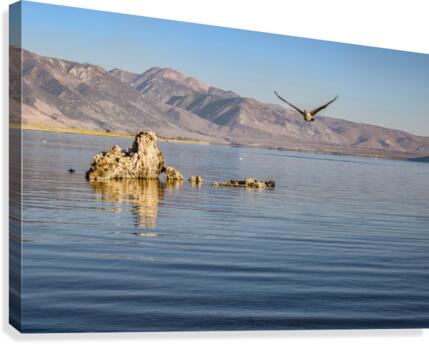 Mono Lake Canvas Print
