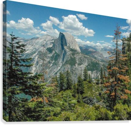 Half Dome Canvas Print