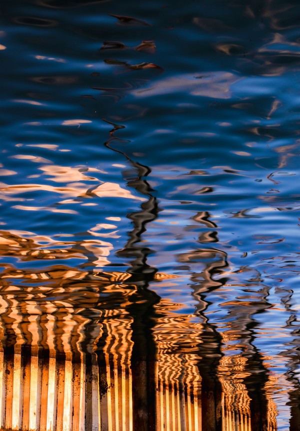 REFLECTIONS Print