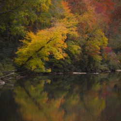  FALL REFLECTIONS