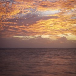 OCEAN 1..THE COLLECTION